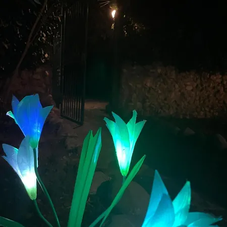 Da Cosimo E Franca * Ripatransone